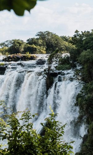 pexels-kelly-16241875